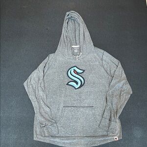 Champion Heather Gray Hoodie